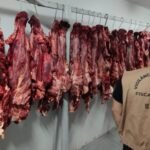 Mais de uma tonelada de carne é apreendida em açougue na 28 de Março, em Campos
