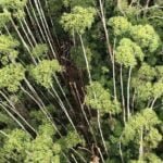 SP: corpos de ocupantes de helicóptero são encontrados com os destroços SP: corpos de ocupantes de helicóptero são encontrados com os destroços