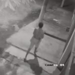 Vídeo: assaltante invade casa e agride moradora durante roubo em Campos