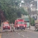 Árvore cai após ser atingida por caminhão e interdita rua em Campos Árvore cai após ser atingida por caminhão e interdita rua em Campos