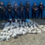 Cerca de 50 kg de drogas são apreendidos em creche de Campos