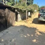 Morador é detido após matar cachorro que atacou galinhas em Campos