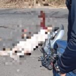 Acidente mata motociclista em São Francisco de Itabapoana