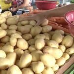 Com preço em alta, batata-inglesa puxa inflação