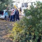Carro bate em três árvores e deixa mulheres feridas em Campos