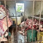 Abatedouro clandestino é encontrado em Campos