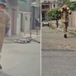 Oito pessoas ficam feridas ao serem picadas por abelhas em Campos