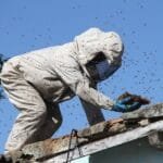 Enxames de abelhas assustam moradores e mobilizam Defesa Civil de Campos Enxames de abelhas assustam moradores e mobilizam Defesa Civil de Campos