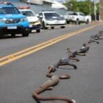 Forças policiais destroem torbais apreendidos durante rolezinhos em SJB Forças policiais destroem torbais apreendidos durante rolezinhos em SJB
