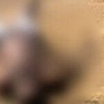 Campos: banhista morre afogado em Lagoa de Cima Campos: banhista morre afogado em Lagoa de Cima