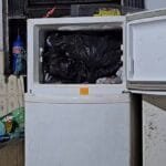 Médico é preso com animais congelados em freezer na Região dos Lagos