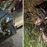 Motociclista morre em acidente na RJ-224, em São Francisco Motociclista morre em acidente na RJ-224, em São Francisco