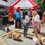 Cerca de 30 mil pets imunizados no “Dia D” de Vacinação Antirrábica em Campos IMG-20250928-WA0006
