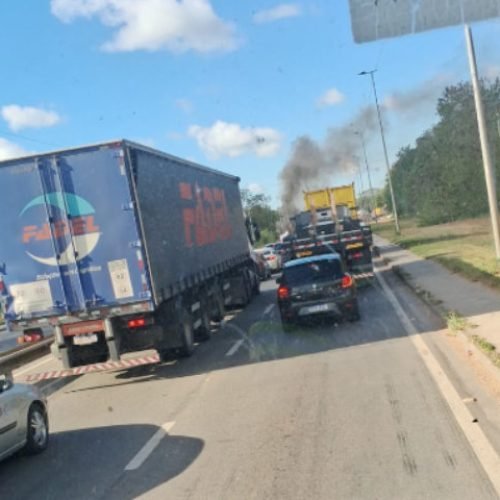 Carroceiros protestam e causam congestionamento em Campos
