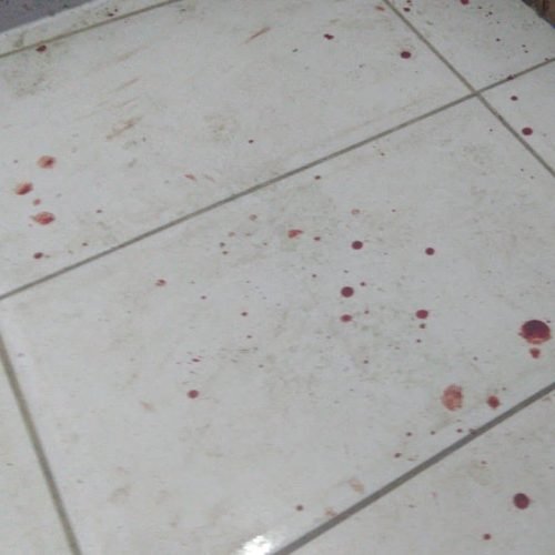 Gotas de sangue no chão - Foto: Imagem meramente ilustrativa